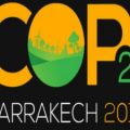 cop 22