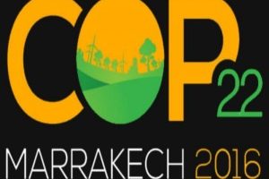 cop 22