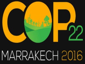 cop 22